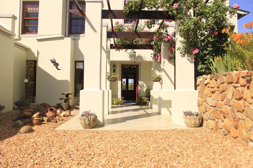 Peace Valley Guesthouse Napier Bagian luar foto