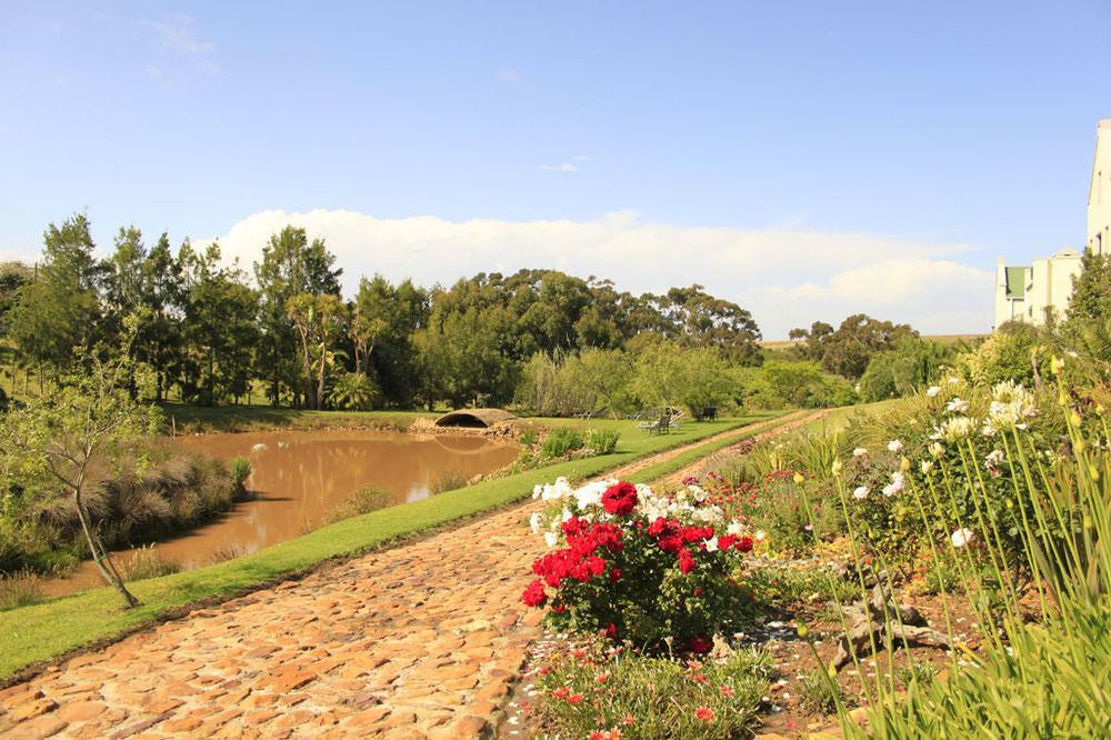 Peace Valley Guesthouse Napier Bagian luar foto