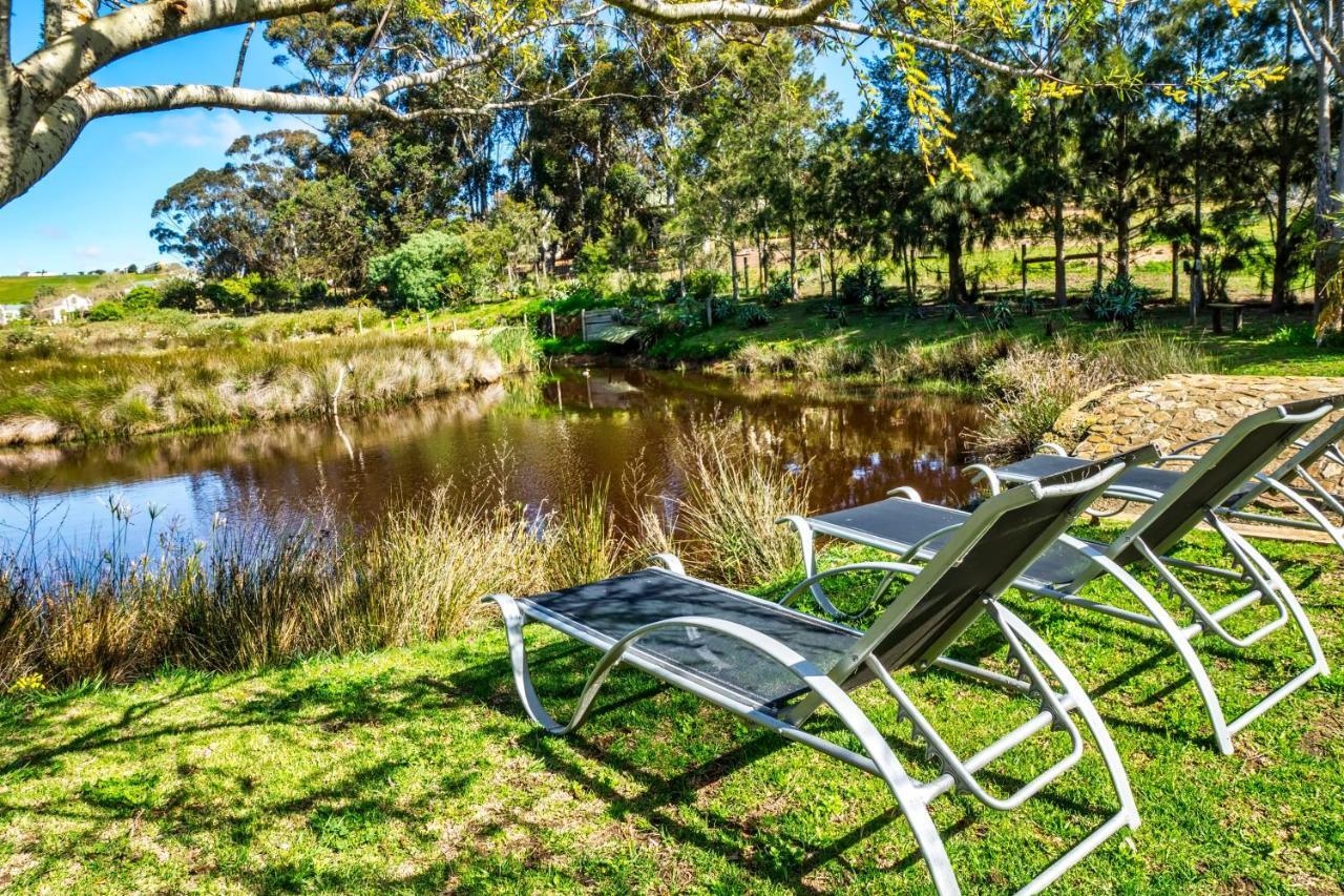 Peace Valley Guesthouse Napier Bagian luar foto